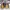 Dr. Martens Casual Casual shoe Pria brown photo 7