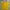 Crop Top Colorbox