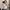 Woman’s cream colored scrunch blouse photo 1