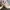 Adidas Streetwear Casual Sneakers Pria cream photo 1