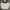 Sportswear Jersey Wanita white photo 1