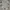 Hoodie Zipper GAP American Logo Grey photo 4