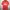 Sportswear Jersey Pria red photo 1