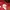 Sportswear Jersey Pria Red