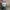 The North Face Gorpcore Sportswear Bag Pria green gray photo 6