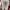 Kaos thsirt nike vintage MJ23 MVP 1996 photo 1