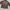 Vintage Harrington jacket Pria brown photo 4