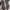 Sk8-Hi Tapered Unidentified U-Paint photo 3