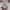 Sk8-Hi Tapered Unidentified U-Paint photo 1