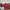 Sk8-Hi Tapered Unidentified U-Paint photo 5