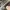 GIVENCHY WHITE BLACK CANVAS CITY LACE UP SNEAKERS , GIVENCHY photo 6