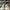 GIVENCHY WHITE BLACK CANVAS CITY LACE UP SNEAKERS , GIVENCHY photo 2
