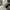 GIVENCHY WHITE BLACK CANVAS CITY LACE UP SNEAKERS , GIVENCHY photo 7