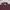 Sweater Crocodile Maroon Stripes photo 2