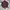 Sweater Crocodile Maroon Stripes photo 4