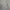 Hoodie GAP Original Cream Logo Embossed photo 5