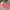 Cardingan raplhlauren pink photo 1