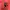 Cardingan raplhlauren pink photo 3
