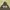 GOODENOUGH Y2K Hoody Pria green photo 2