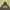 GOODENOUGH Y2K Hoody Pria Green