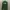 Nike Streetwear Sportswear Hoody Pria green photo 1