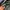 Luxury Casual Sweatshirt Pria multicolor photo 4