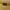 Stussy Streetwear Skater Sweatshirt Pria yellow photo 5