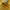 Stussy Streetwear Skater Sweatshirt Pria yellow photo 4