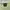 Stussy Vintage Streetwear Sweatshirt Pria green photo 6