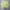 Stussy Vintage Streetwear Sweatshirt Pria green photo 4