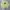 Stussy Vintage Streetwear Sweatshirt Pria green photo 1