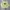 Stussy Vintage Streetwear Sweatshirt Pria Green