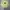 Stussy Vintage Streetwear Sweatshirt Pria green photo 2