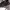 New Era Sportswear Casual Hat Pria gray photo 6