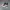 AIR JORDAN WHY NOT ZERO 4 PF SHATTERED BACKBOARD SECOND 40,5