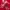 Stussy Streetwear Skater T-shirt Pria red photo 3