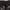 Y2K Formal shirt Pria black photo 4