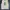 Rodeo Crowns Vintage Avant Garde Vest Pria white photo 4