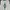 Rodeo Crowns Vintage Avant Garde Vest Pria white photo 5
