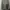 Adidas trifoil small logo photo 1