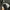 Adidas trifoil center photo 4