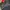 Jacket Motor Tachikawa Grand Prix