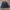 Jacket Harrington Black Spurtion photo 3
