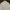 Polo Ralph Lauren Luxury T-shirt Pria white photo 2