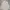 Polo Ralph Lauren Luxury T-shirt Pria white photo 1