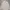 Polo Ralph Lauren Luxury T-shirt Pria White