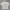 Lyle & Scott Vintage Formal shirt Pria cream photo 1