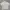 Lyle & Scott Vintage Formal Shirt Pria Cream