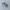 New Balance Sportswear Casual Sneakers Pria gray photo 1