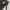 Timberland Streetwear Gorpcore Track jacket Pria brown photo 4